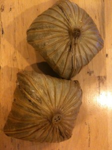 Lotus leaf-wrapped parcels, so mysterious!