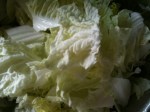 cabbage