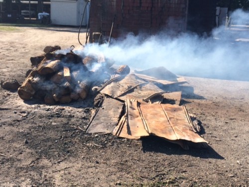 Burning oak in Wilber's backyard