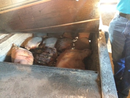 What's cooking at Wilber's