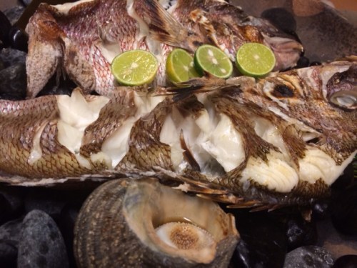 Snapper and sea snails