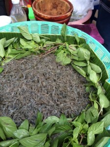 The "dancing shrimp" vendor displaying her wares